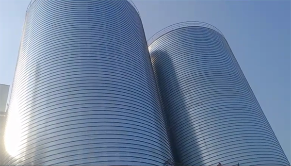 道滘镇2座混凝土高架卷板仓